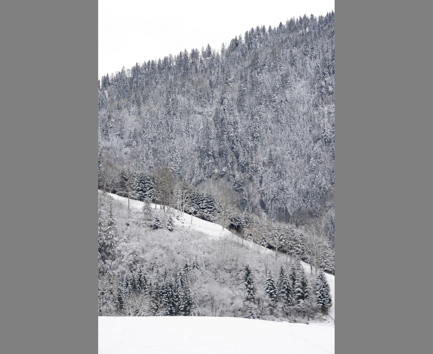 Photographie paysage Charmey, Suisse